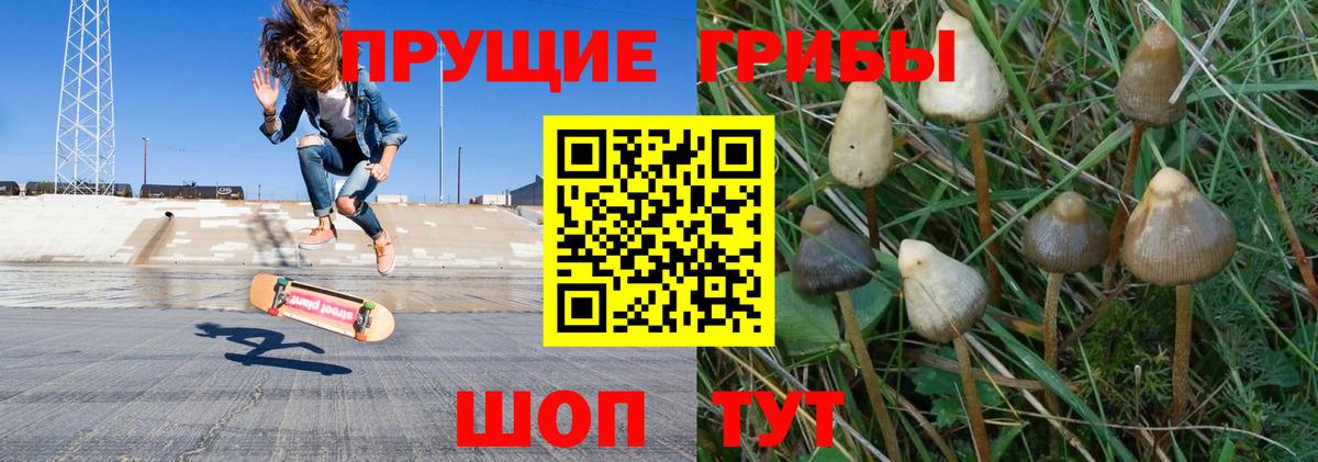 Псилоцибиновые грибы MAGIC MUSHROOMS Нижний Тагил